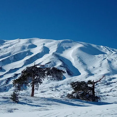 Apartment La Casa Dei Cestai *