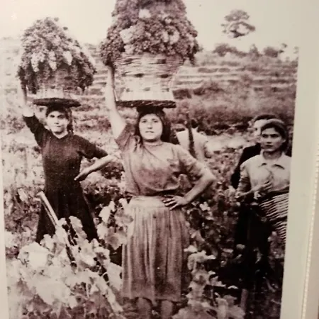 La Casa Dei Cestai Linguaglossa