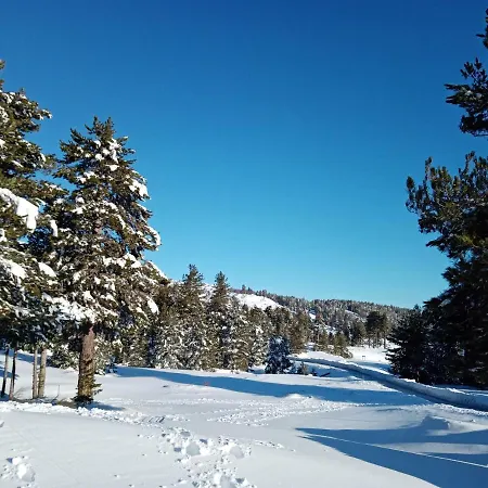 Apartment La Casa Dei Cestai Linguaglossa