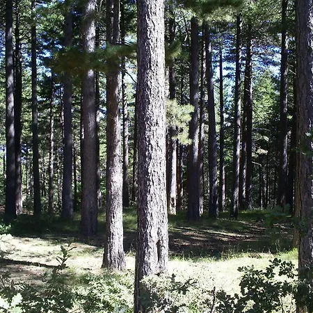 Apartment La Casa Dei Cestai