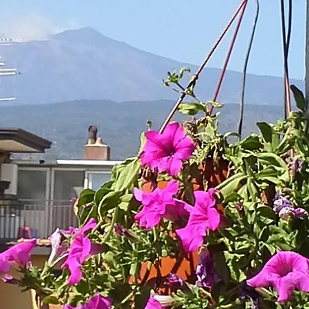 Appartamento La Casa Dei Cestai